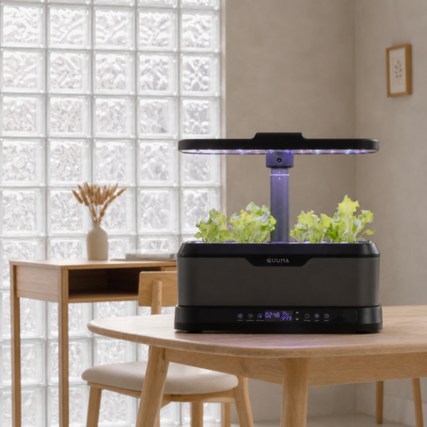 MID YEAR SALES_Quuma Smart Hydroponic System