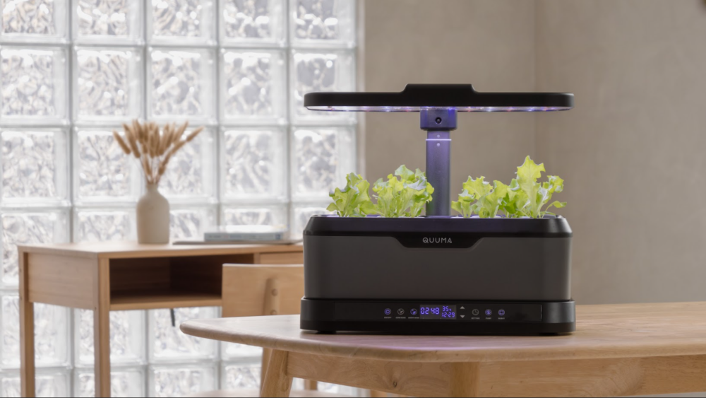 PARENT'S DAY SALES_Quuma Smart Hydroponic System