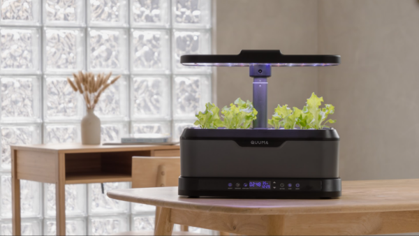 RAYA SALES_Quuma Smart Hydroponic System