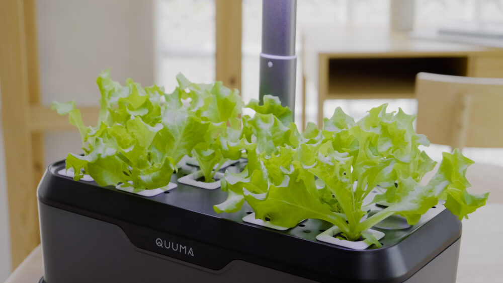 12.12 SALES_Quuma Smart Hydroponic System