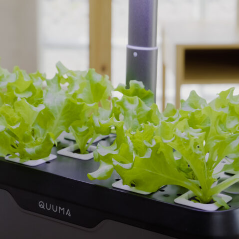 Quuma Smart Hydroponic System