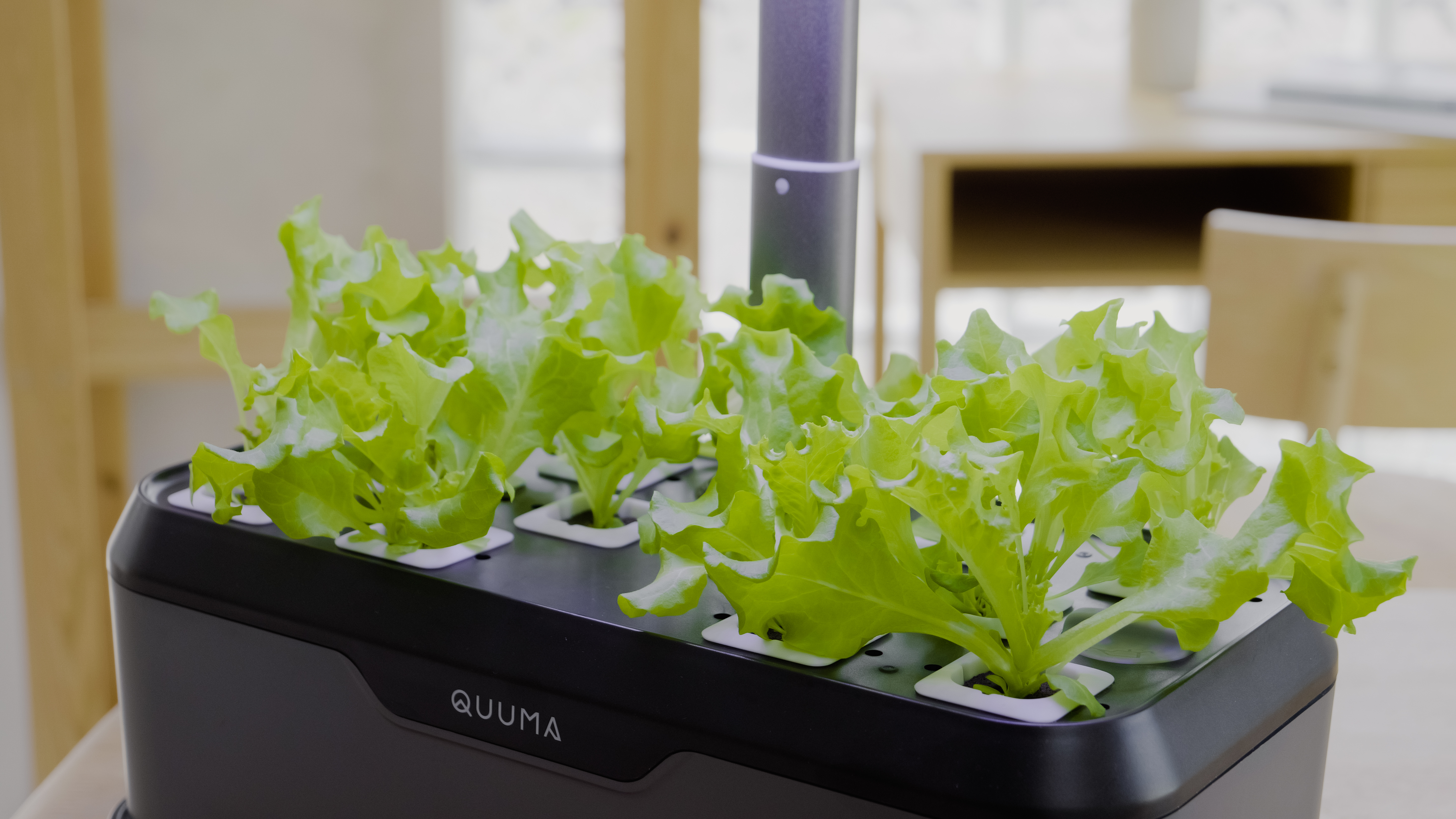 Quuma Smart Hydroponic System